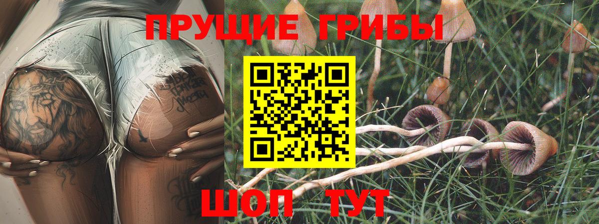 Нефтеюганск  Галлюциногенные грибы GOLDEN TEACHER  продажа наркотиков  Вход с VPN 