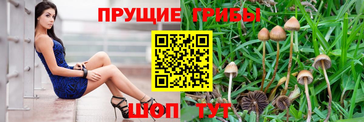 Галлюциногенные грибы мицелий Нефтеюганск